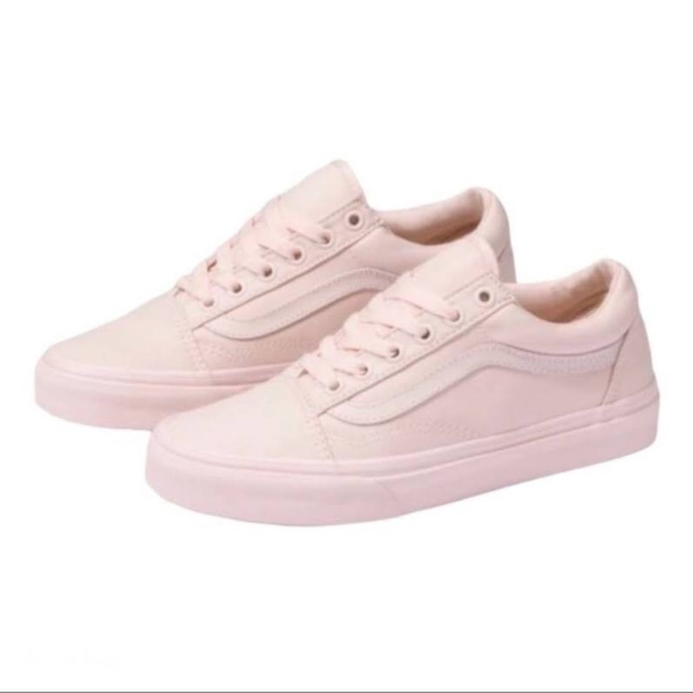 Vans Skater Shoes